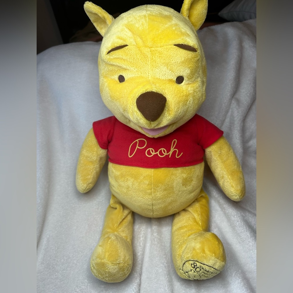 🍯 Disney Winnie the Pooh Plush - Preloved